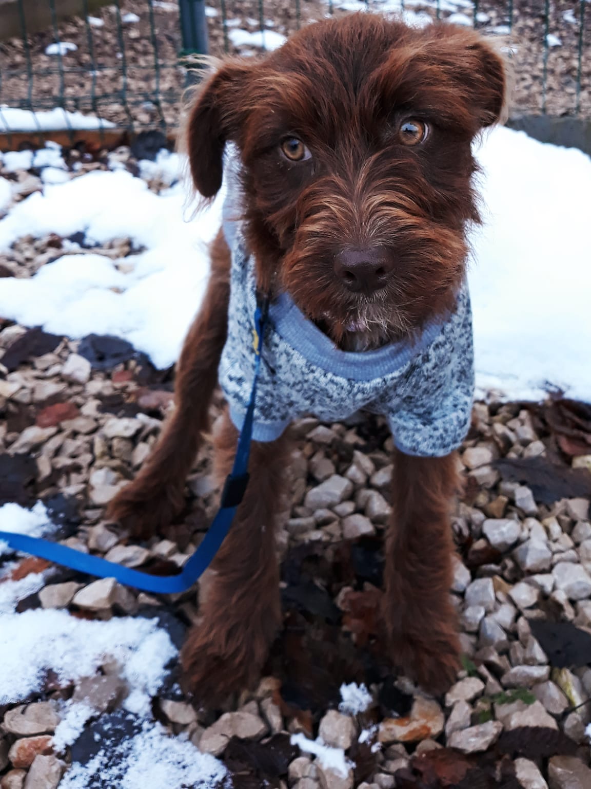 Jade 4 maand( in Bosnië)