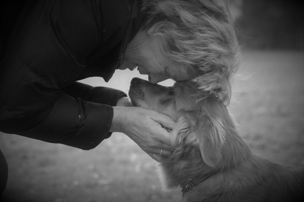 Silvia Wouwenberg opvanggezinnen