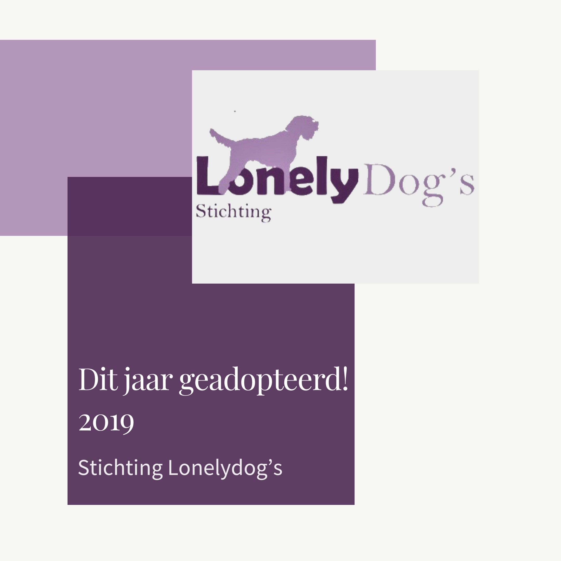 Geadopteerde hondjes 2019