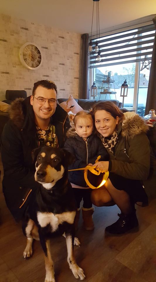 Remy vindt gouden mandje!